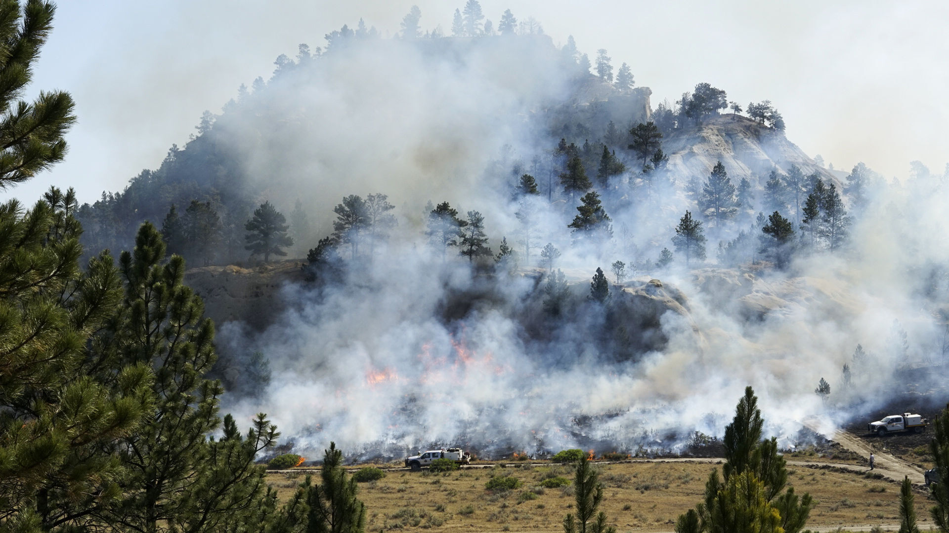 Richard Spring fire
